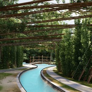 Forestscaping_2